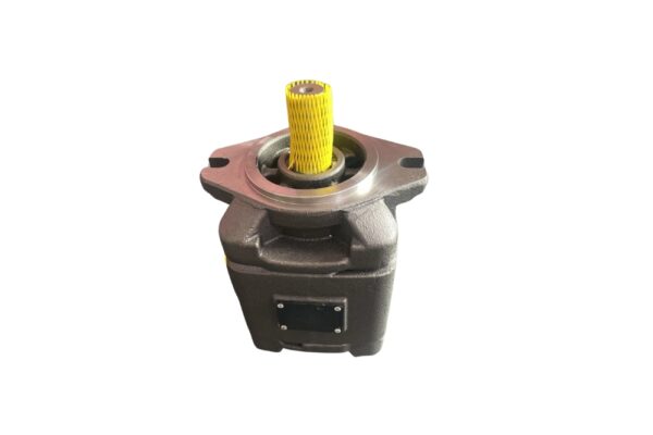 HG1 25/32/40/50/63 Servo Pump